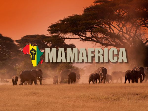 MamAfrica 2024
